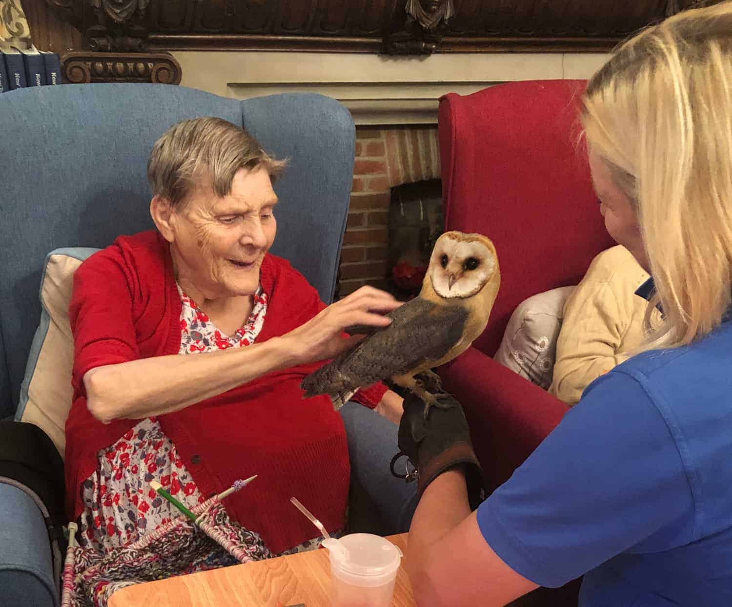 An elderly lady reaches out with a smile to touch a barn owl perched on the gloved hand of a woman seated opposite her, bringing a moment of animal-assisted joy to one of the events